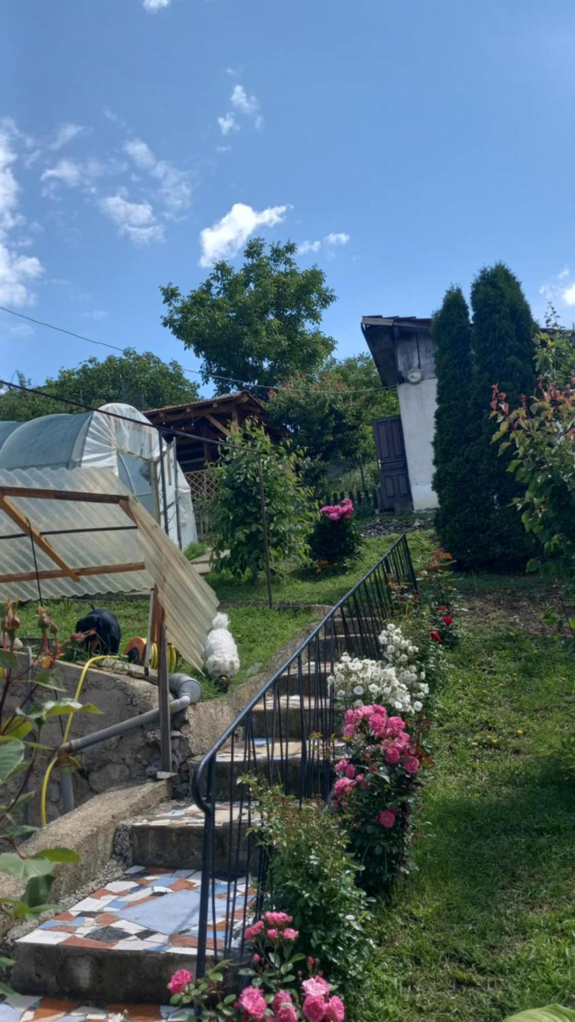 Apartman Sani Donji Milanovac Exterior foto
